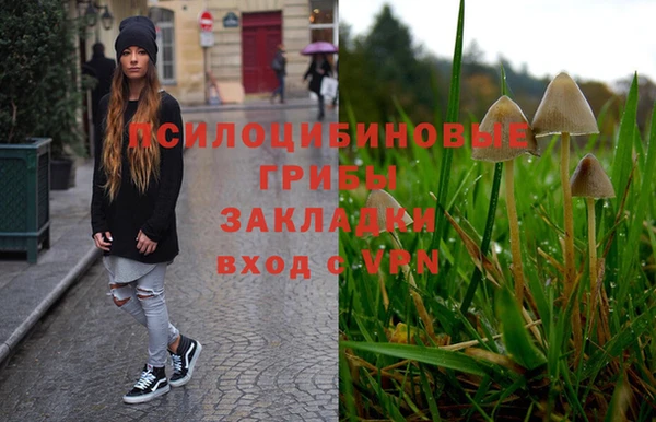 PSILOCYBIN Абдулино