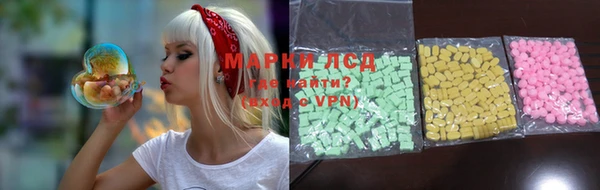 PSILOCYBIN Липки