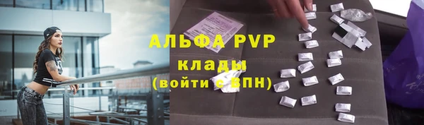 крисы Магас