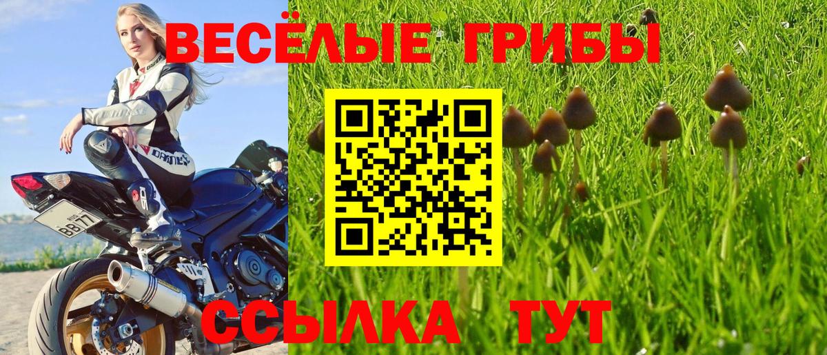 Галлюциногенные грибы мухоморы Кисловодск